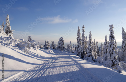 Norefjell / Norway: Perfect conditions for cross-country skiing
