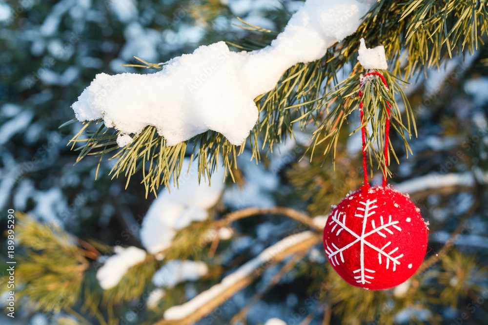 Fotografie Christmas decoration on winter tree, close up