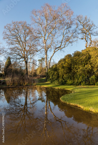 English Garden in Winter