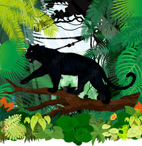 vector black panther leopard jaguar in jungle rainforest