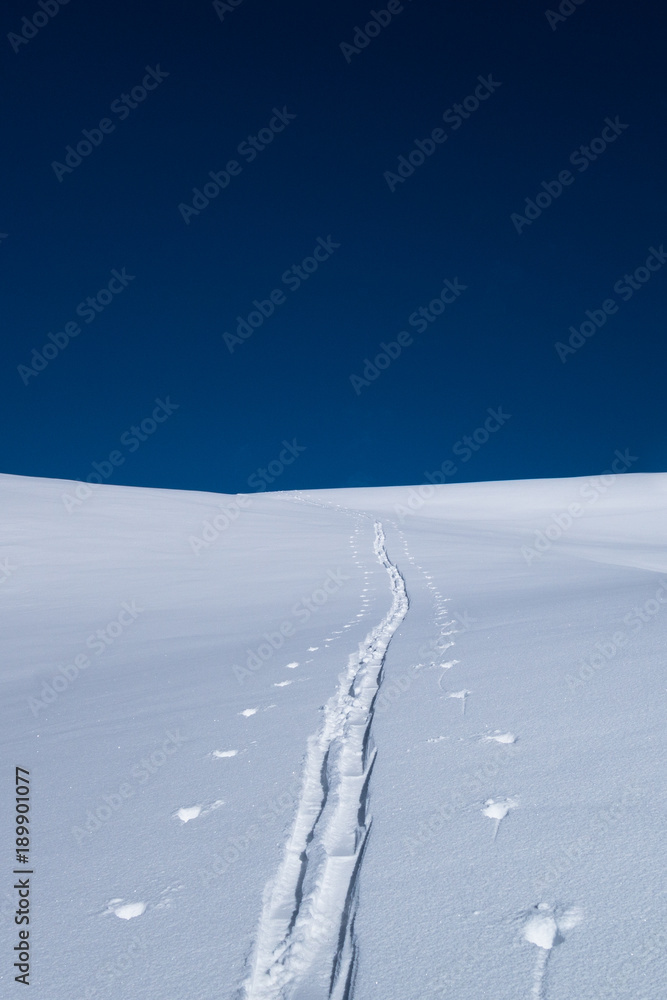 A single ski  touring track leading into distance in winter