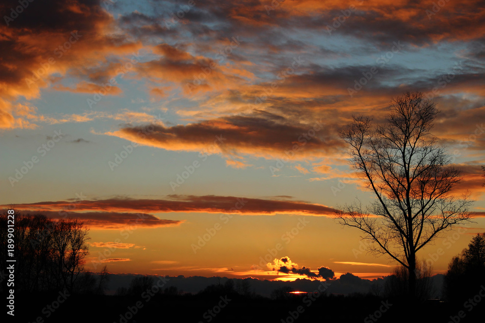 Obraz premium Sunshine