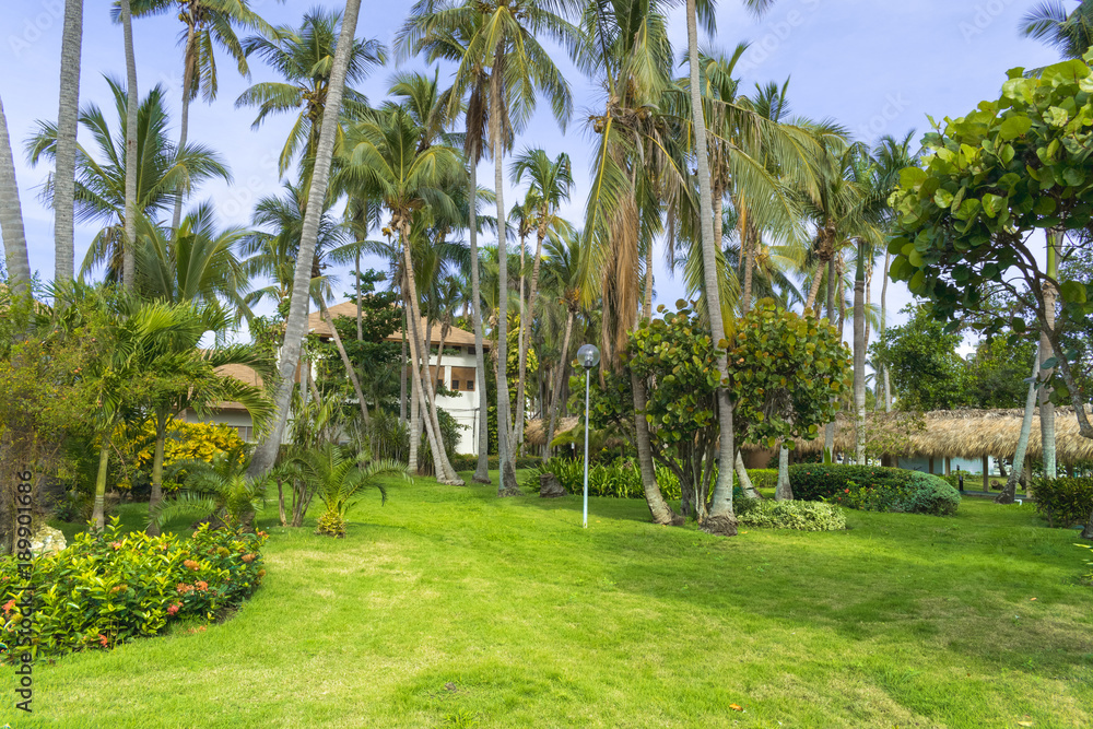 Obraz premium Punta Cana