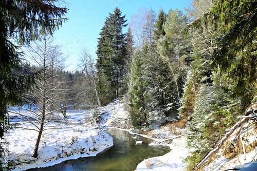 beautiful winter river landscape in the forest on a sunny day photo