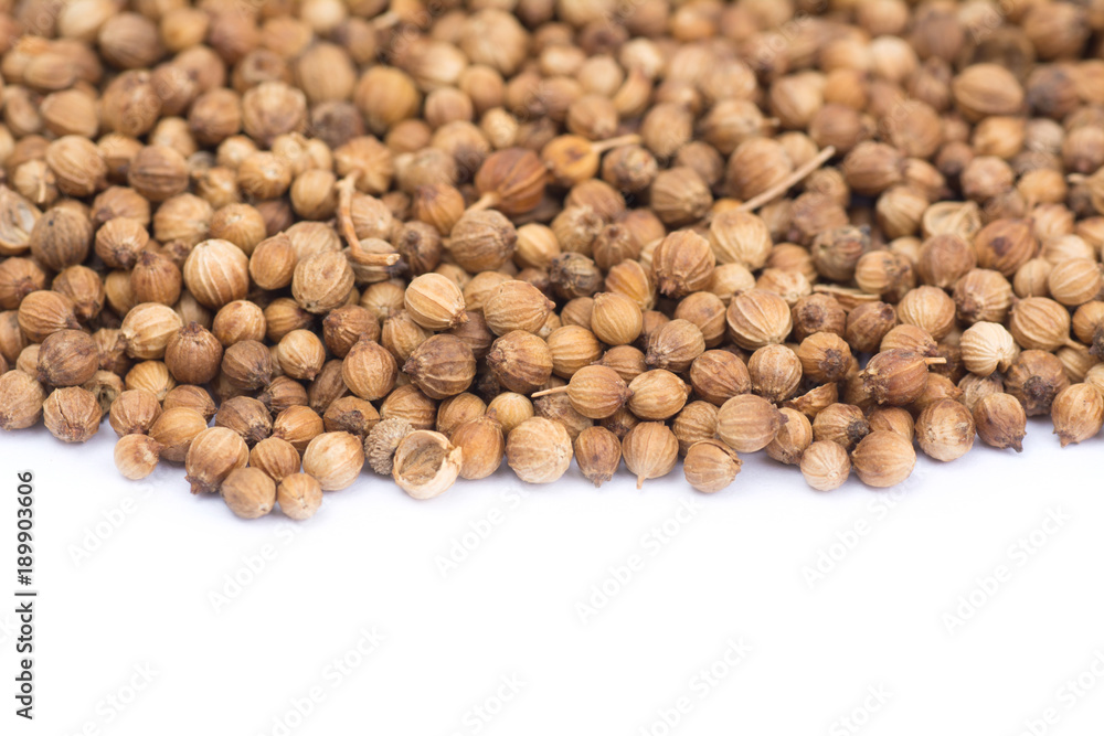 .coriander seeds isolated on white background .coriander seeds isolated on white background