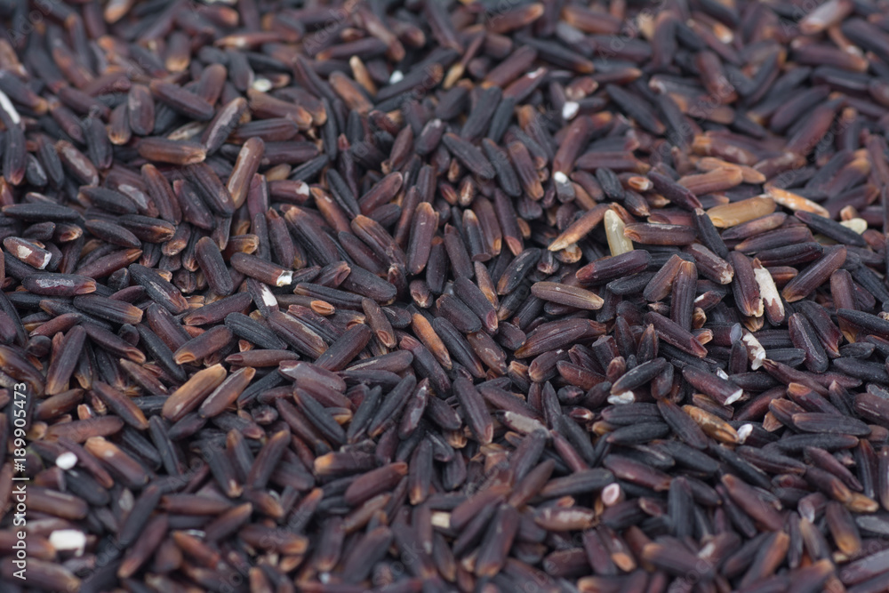 .Raw dark red purple rice (Riceberry) texture pattern background (this kind of rice is originated from a cross-breed between non-glutinous purple rice and white jasmine rice in Thailand .Raw dark red purple rice (Riceberry) texture pattern background (this kind of rice is originated from a cross-breed between non-glutinous purple rice and white jasmine rice in Thailand
