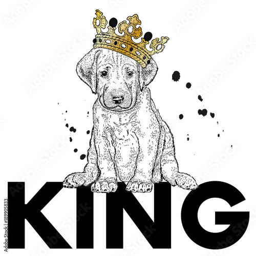 Beautiful dog in the crown. Purebred puppy in clothes and accessories. Vector illustration for a postcard or a poster, print for clothes.