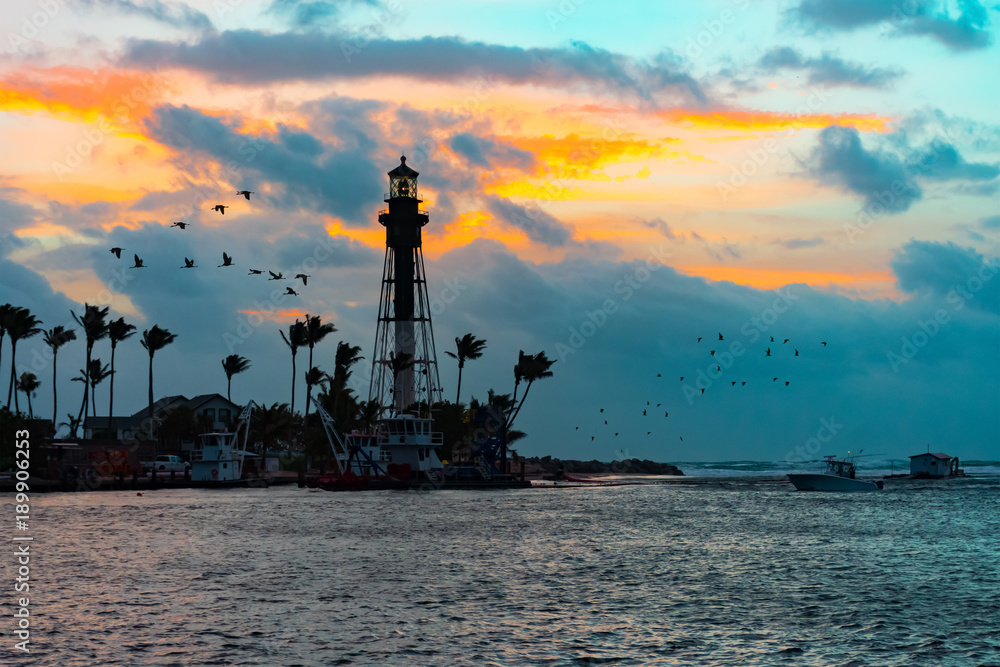 birds flying near a lighthouse on a cloudy morning birds flying near a lighthouse on a cloudy morning