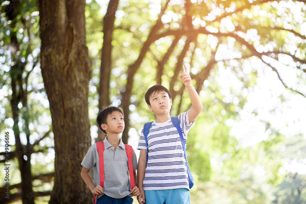 Preteen Asian boy travel in a forest in summer and learn about nature and tree. Preteen Asian boy travel in a forest in summer and learn about nature and tree.