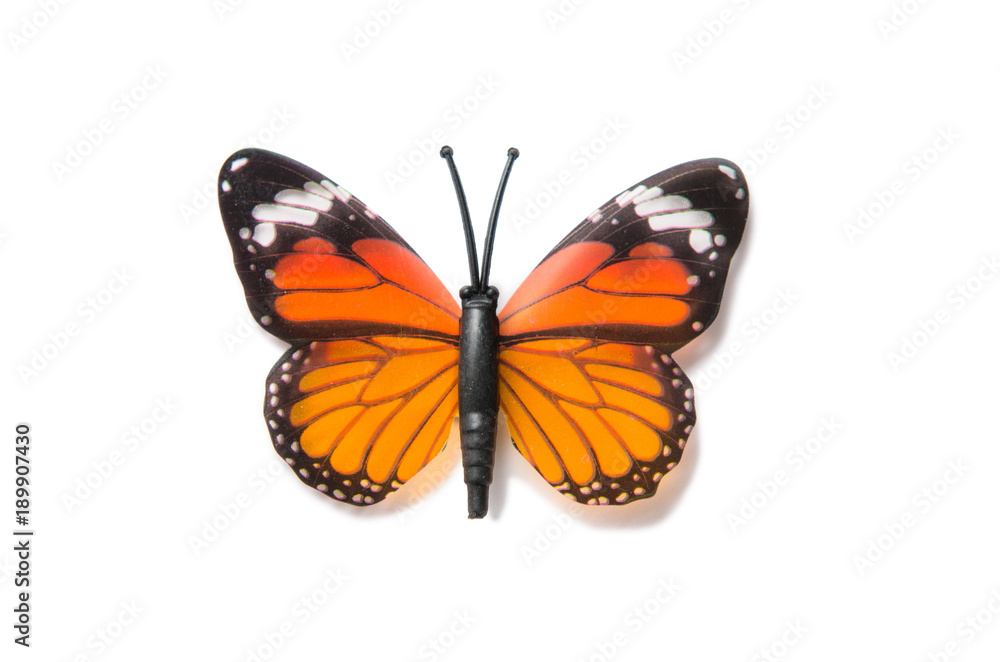 Obraz premium Colourful butterfly isolated on white background