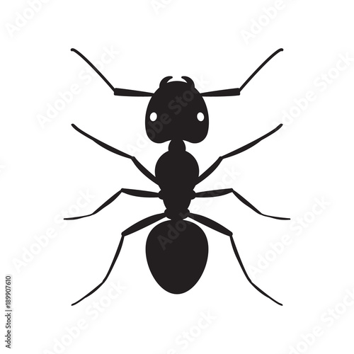 Black ant insect silhouette illustration
