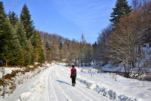  Sunny winter day with woman walks through the snowy landscape