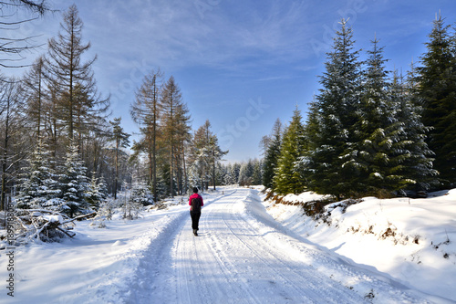  Sunny winter day with woman walks through the snowy landscape