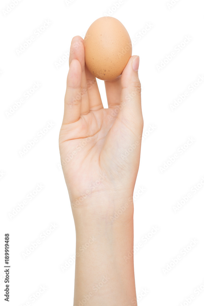 Woman hand with hen egg isolated on white background. With clipping path Woman hand with hen egg isolated on white background. With clipping path