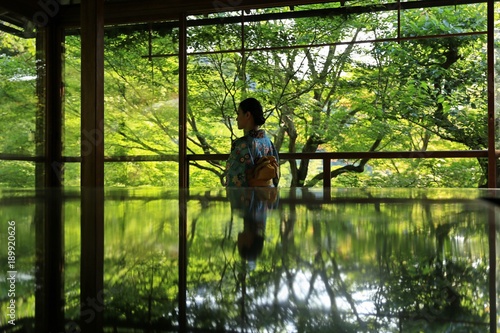 Quadro su tela A Japanese woman with kimono in traditional Japanese room, with green trees as background in Spring