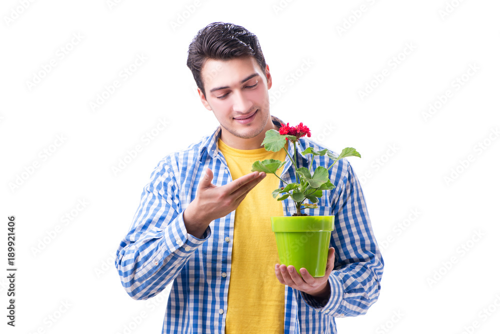 Young man with flower pot isolated on white Young man with flower pot isolated on white