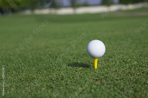 golf ball on a tee on a green grass