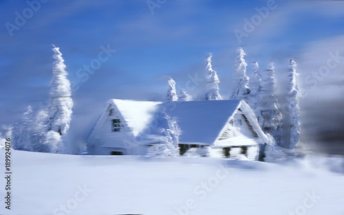 House in a snowy forest