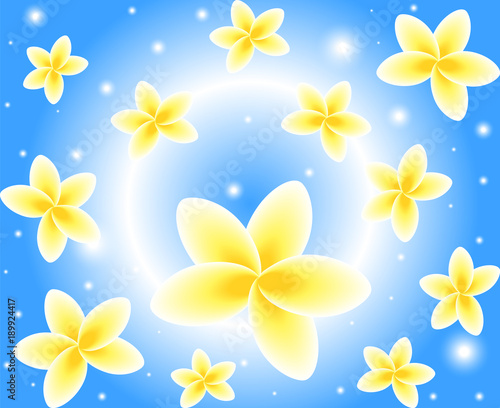 Beautiful colorful vector seamless pattern with frangipani flowers and light flashes
