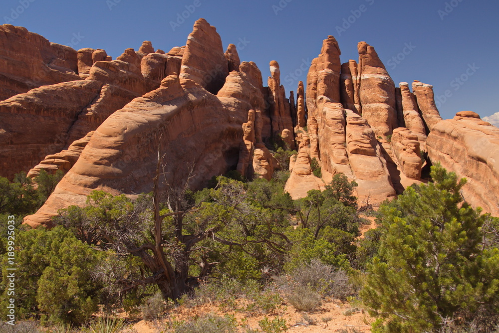 Rock formation in Arches National Park in Utah in the USA
