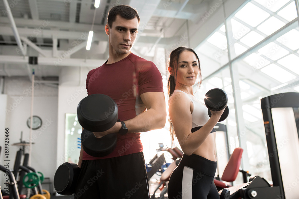 Obraz premium Waist up portrait of fit sportive couple posing with dumbbells looking at camera in modern gym lit by sunlight