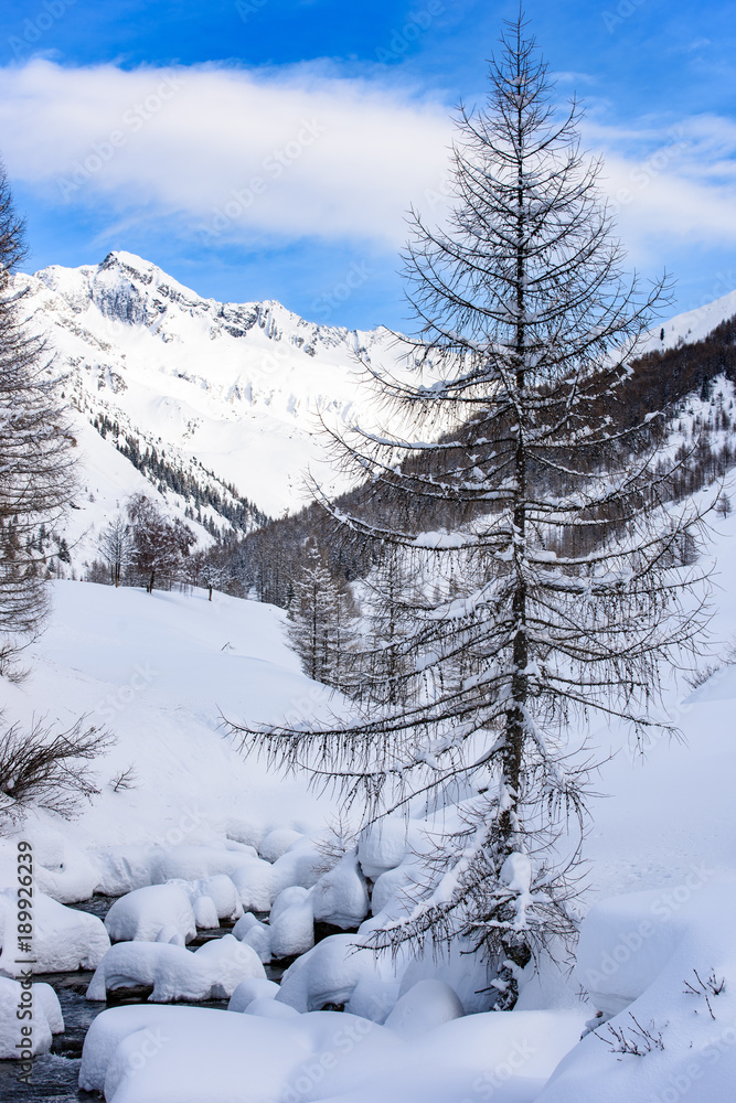 Obraz premium The enchanted valley. Val Aurina in winter