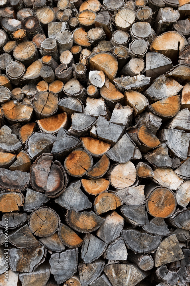 Pile of wood logs. Wood texture background or pattern Pile of wood logs. Wood texture background or pattern