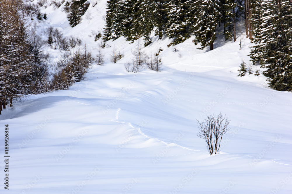 Obraz premium Footprints in the snow