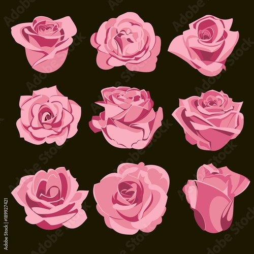  set of lilac roses