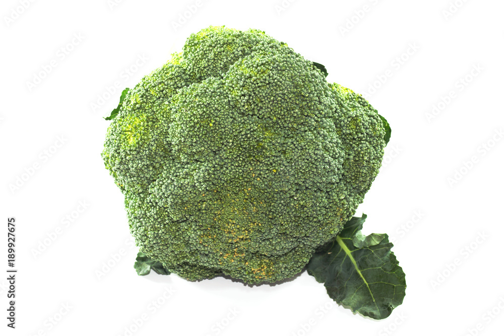 Fresh single green broccoli on white background Fresh single green broccoli on white background