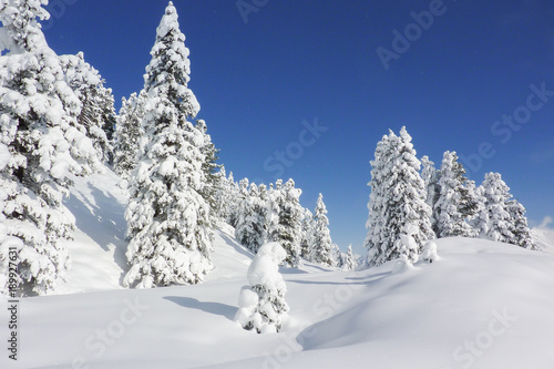 verschneite Winterlandschaft in den tiroler Bergen © by paul