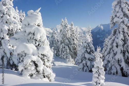 verschneite Winterlandschaft in den tiroler Bergen