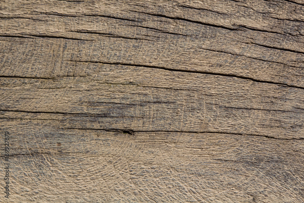 A texture of wood, also suitable as a background A texture of wood, also suitable as a background
