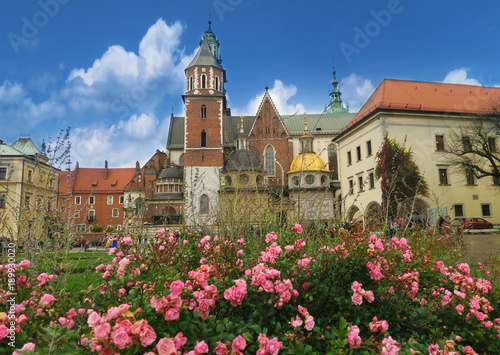 charming Wawel in Krakow in rose blossom