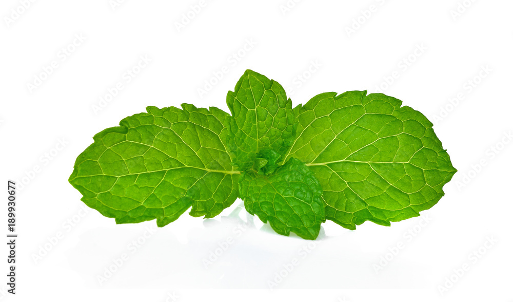 mint leaves isolated on white background mint leaves isolated on white background