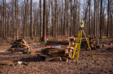 Geodesy, theodolite on a tripod in forest