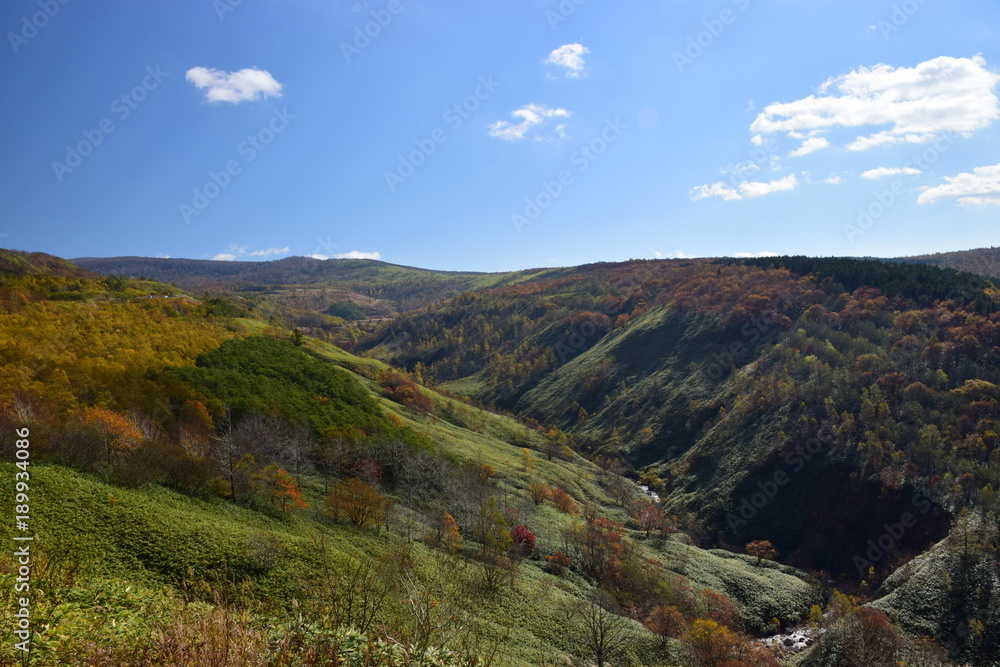 Obraz premium 登別の紅葉