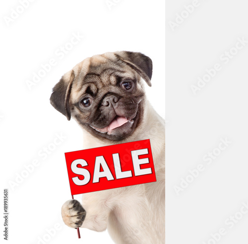 Dog with sales symbol above white banner. isolated on white background © Ermolaev Alexandr