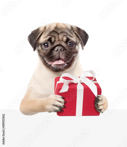 Happy dog with gift box  above white banner. isolated on white background © Ermolaev Alexandr