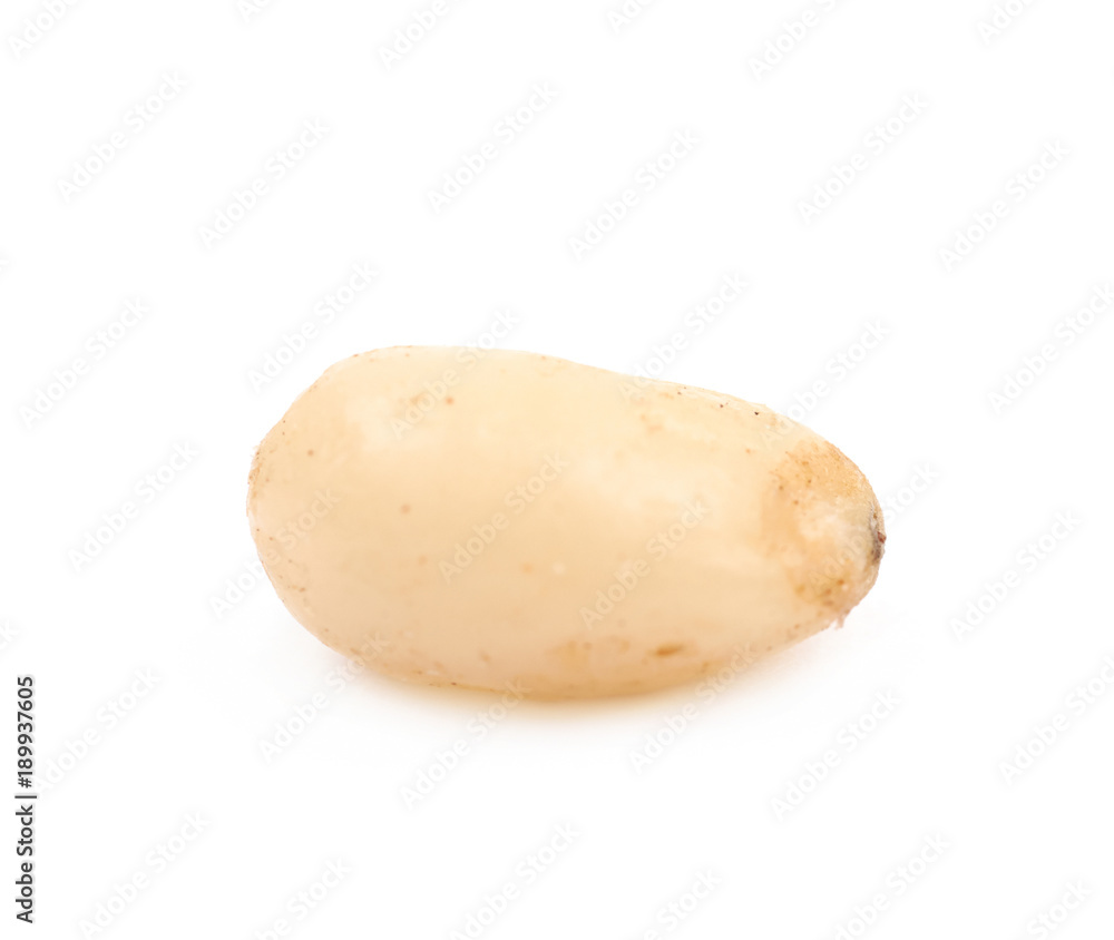 Single pine nut isolated Single pine nut isolated