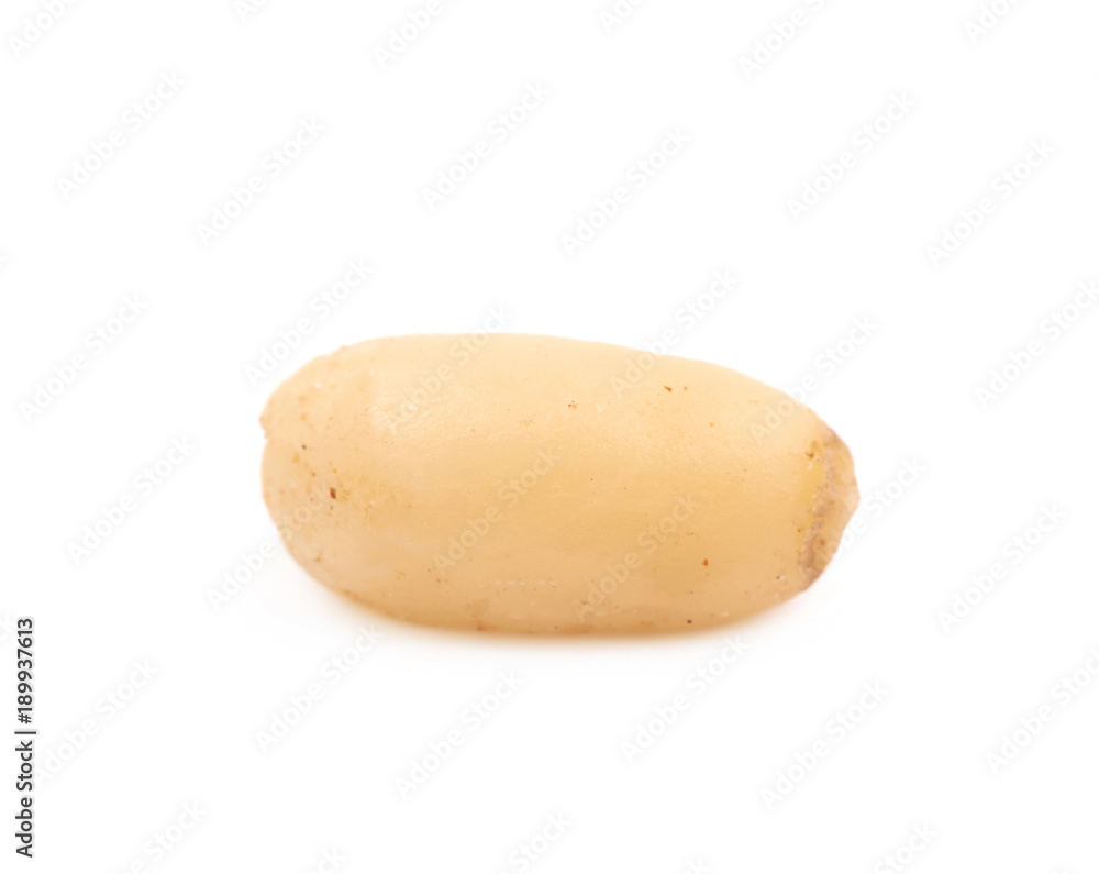 Single pine nut isolated Single pine nut isolated
