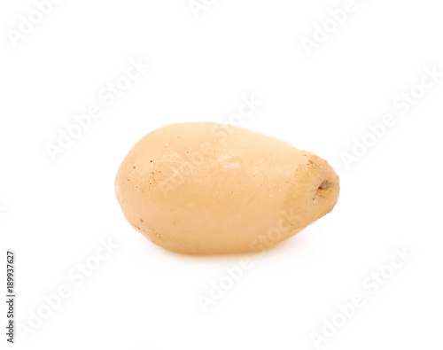 Single pine nut isolated