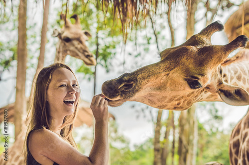 Photography Happy young woman watching and feeding giraffe in zoo
