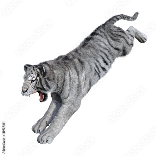 Fototapeta Naklejka Na Ścianę i Meble -  3D Rendering White Tiger on White