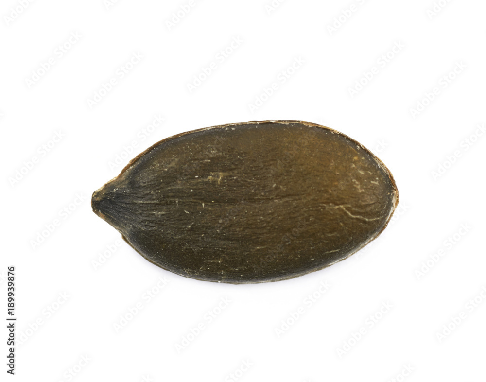 Single pumpkin seed isolated Single pumpkin seed isolated