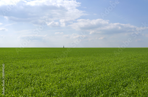 Altkirchen / Germany: View over an early green field to the lonely spire of the small village at the horizon