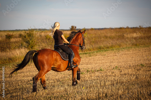 Young female rider on bay horse in field.