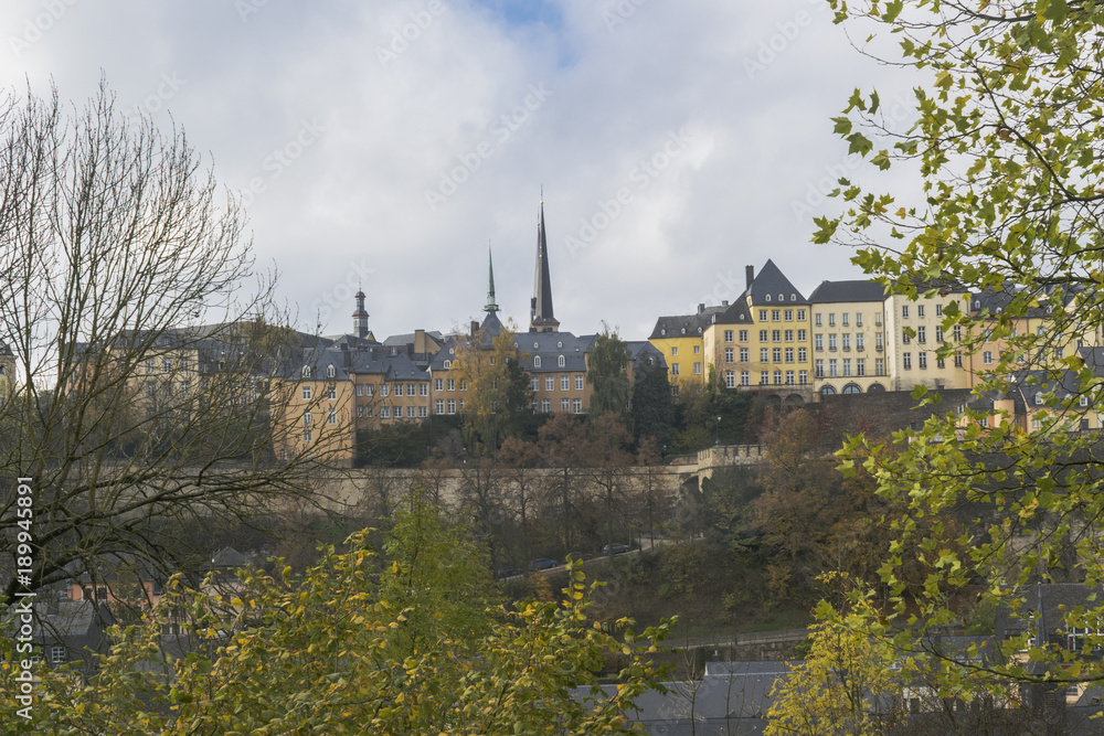 Obraz premium Detail of famous Luxembourg city sky line in cold cloudy day in November with Notre-Dame Cathedral, Luxembourg.