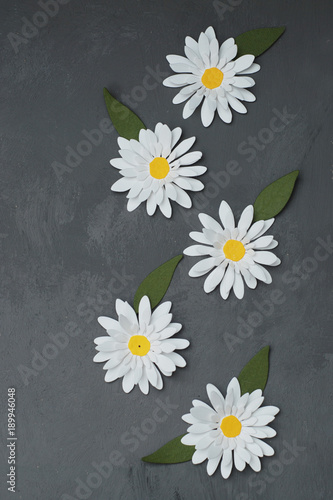 White Chamomiles made of Paper. Dark Grey Background. Vertical Image Spring  Summer. Copy Space.