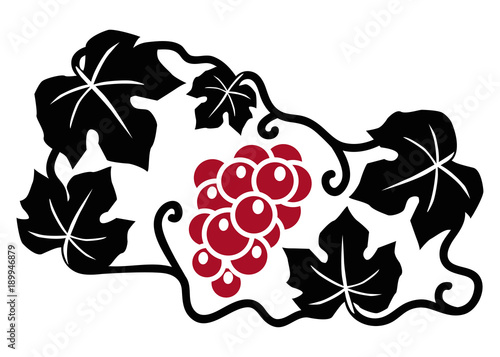 cepa vino